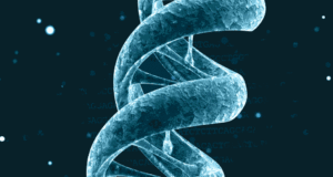 Vědci implementovali GIF do DNA